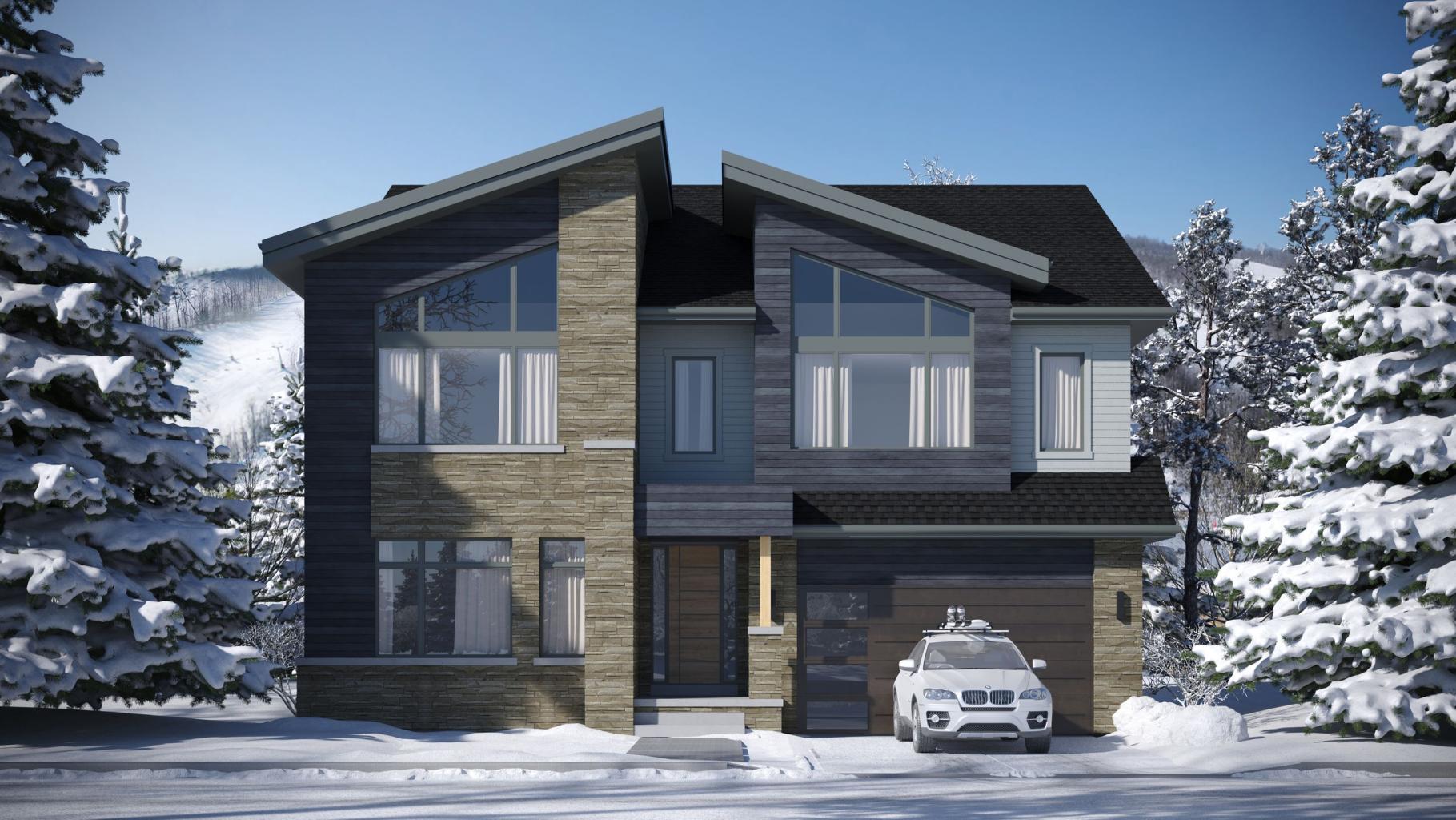 elevation_mountain_b